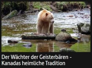Der Wächter der Geisterbären, or the Watchman of the Spirit Bear