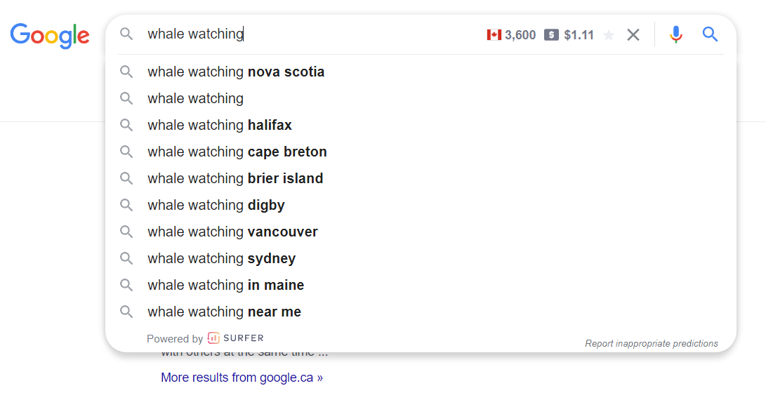Screenshot of Google recommendations when typing "whale watching" into the search field.