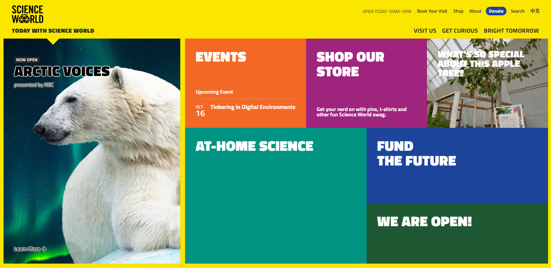 Science World's website utlizes multiple visual cues.