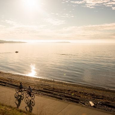 Two people on bicycles cycling along the coast in BC.