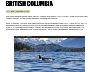 Screenshot of a website with a picture of a whale in the ocean and text.