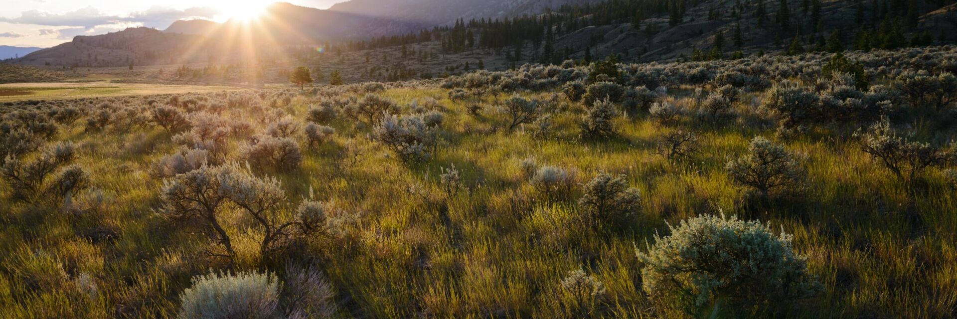 Lac du Bois Grasslands. Destination BC/Andrew Strain.