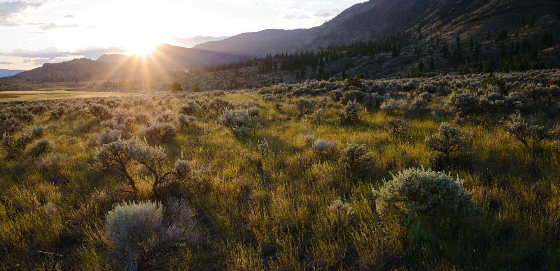 Lac du Bois Grasslands. Destination BC/Andrew Strain.